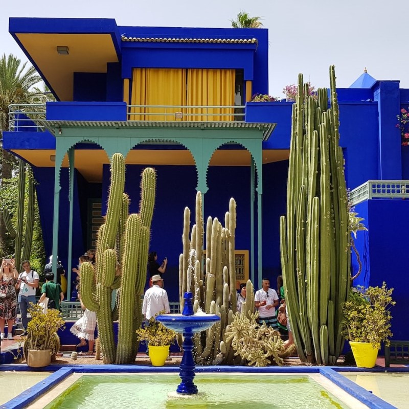 🇲🇦 Yves Saint Laurent Garden – Marrakech,&nbsp;Morocco